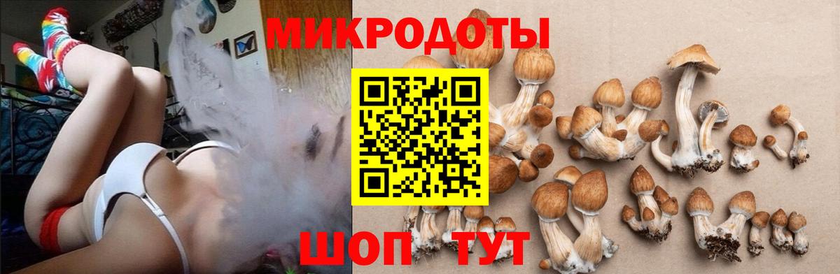 Галлюциногенные грибы Psilocybe  Галлюциногенные грибы Cubensis  хочу   Вход с VPN  Донецк 